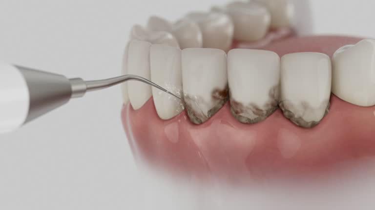 Reliable Dental contractor in Alderwood Manor, WA by Dentist Open Now
